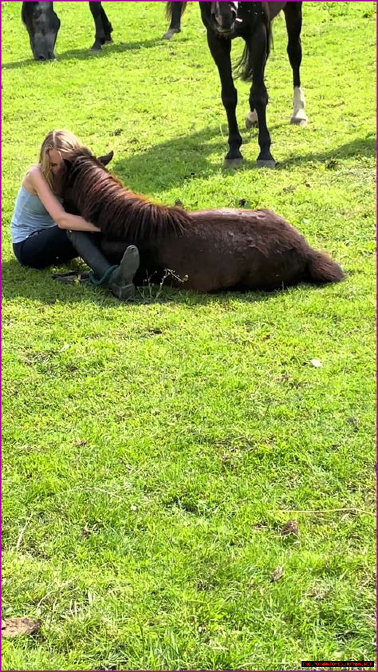 Exploring The Life And Journey Of Casper Henderson Stockwell