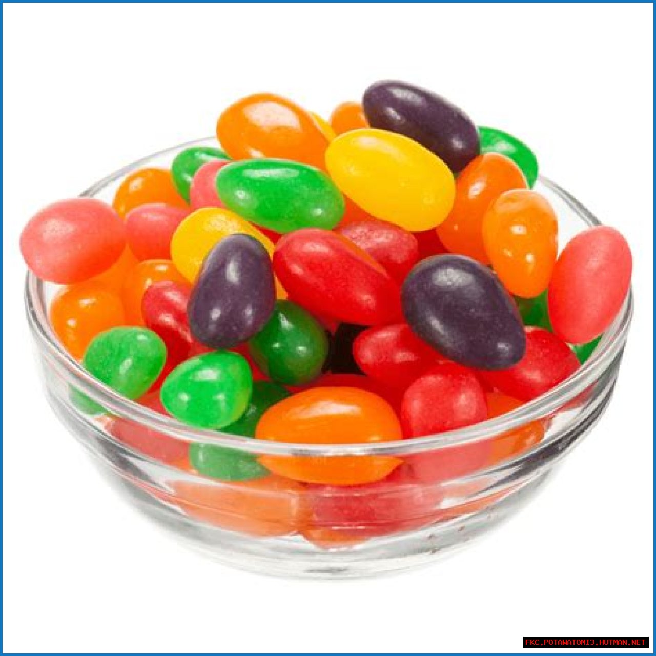 Unveiled: The Leaky Secrets Of Candy-Colored Jelly Bean Brains
